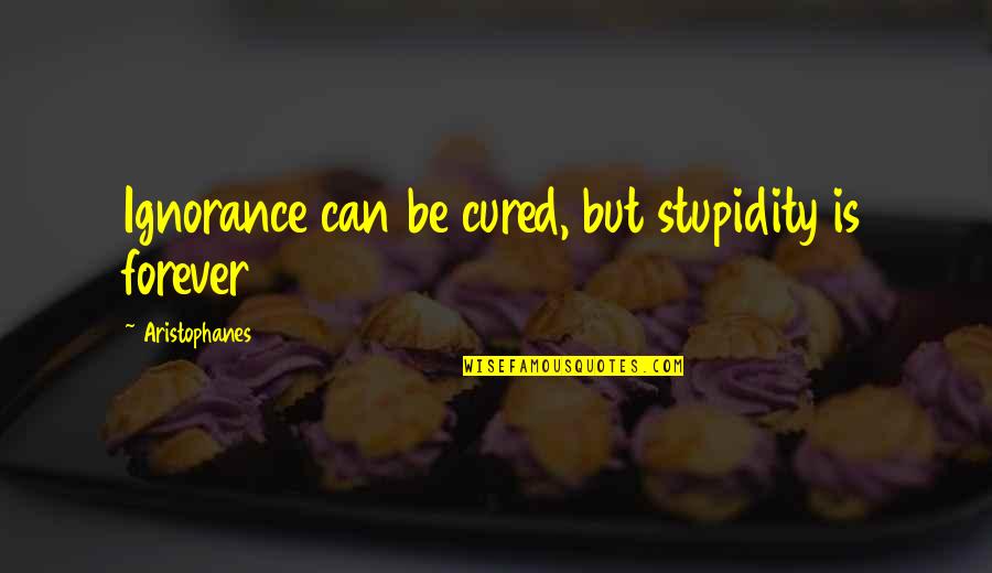 Believing In The Unseen Quotes By Aristophanes: Ignorance can be cured, but stupidity is forever