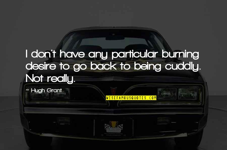 Believing The Lies Quotes By Hugh Grant: I don't have any particular burning desire to