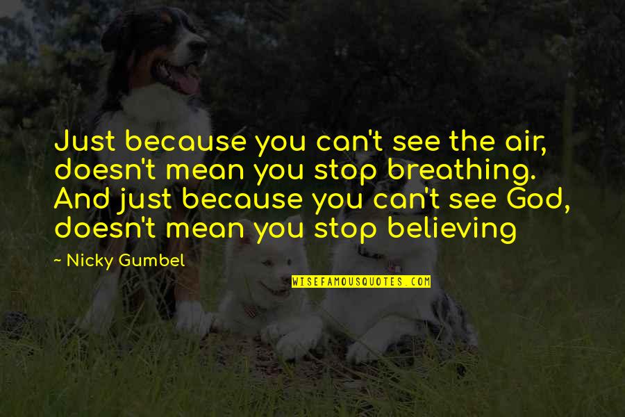 Believing You Can Quotes By Nicky Gumbel: Just because you can't see the air, doesn't Believing You Can Quotes By Nicky Gumbel: Just because you can't see the air, doesn't