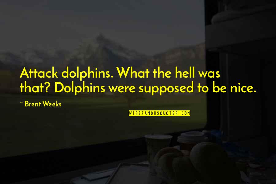 Belisarius Productions Quotes By Brent Weeks: Attack dolphins. What the hell was that? Dolphins