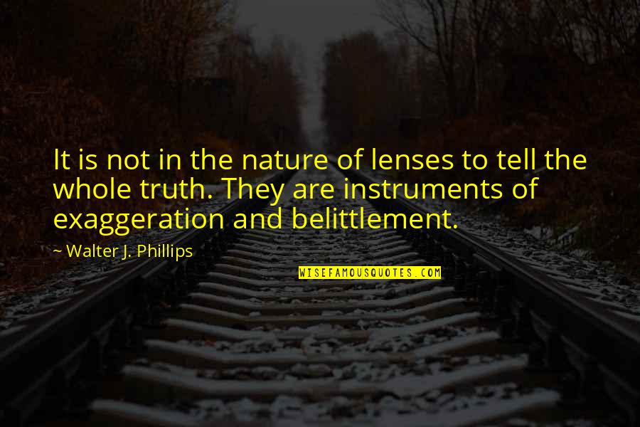 Belittlement Quotes By Walter J. Phillips: It is not in the nature of lenses