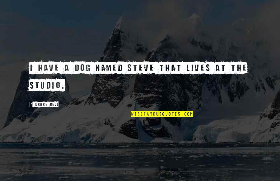 Bell Quotes By Drake Bell: I have a dog named Steve that lives