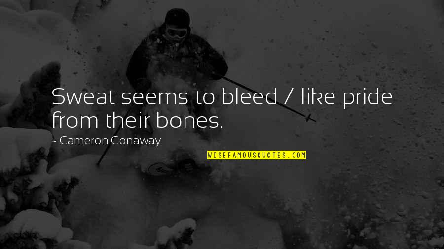 Bellacas Quotes By Cameron Conaway: Sweat seems to bleed / like pride from