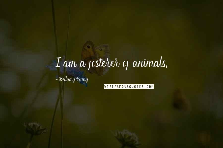 Bellamy Young quotes: I am a fosterer of animals.