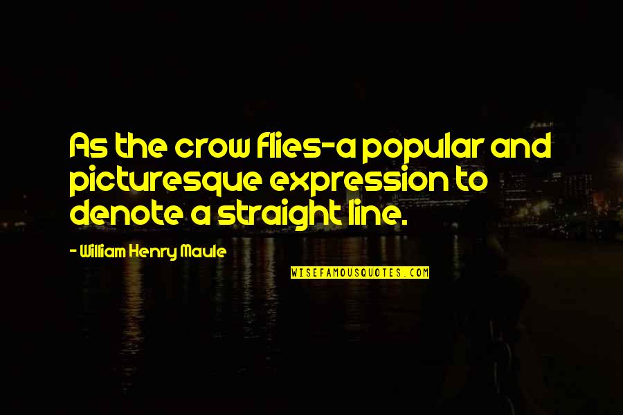 Bellari Home Quotes By William Henry Maule: As the crow flies-a popular and picturesque expression