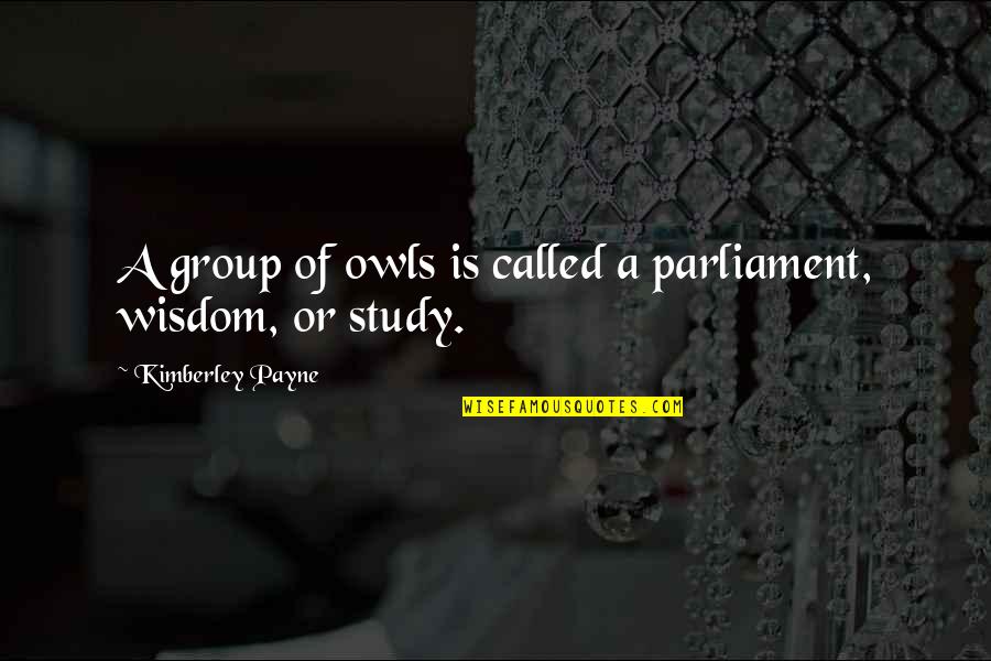 Bellatrix Lestrange Order Of The Phoenix Quotes By Kimberley Payne: A group of owls is called a parliament,