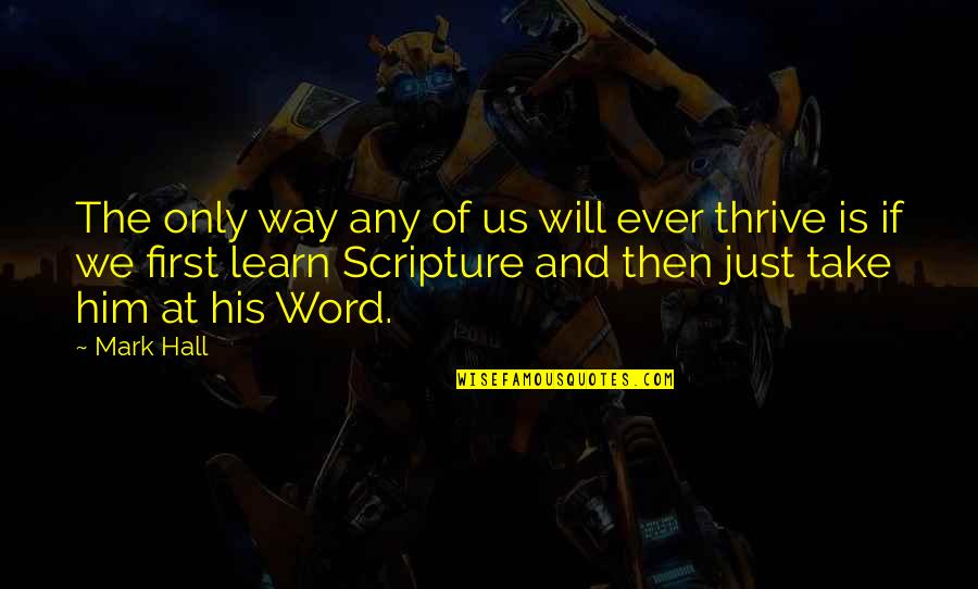 Bellezas Del Quotes By Mark Hall: The only way any of us will ever