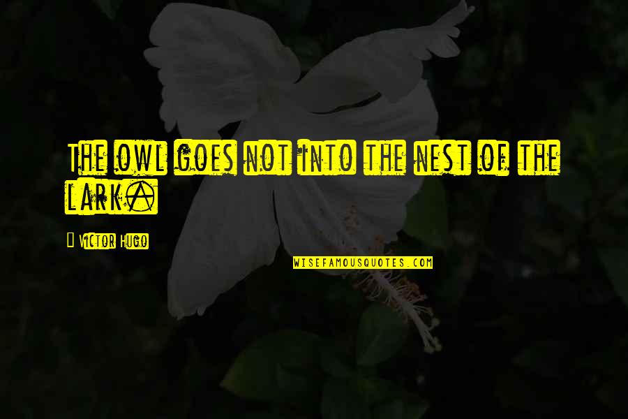 Bellicist Theory Quotes By Victor Hugo: The owl goes not into the nest of