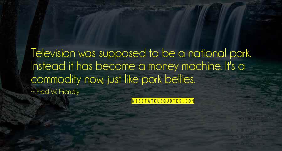 Bellies Quotes By Fred W. Friendly: Television was supposed to be a national park.