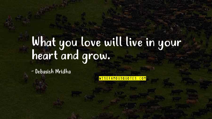 Bellino Sheets Quotes By Debasish Mridha: What you love will live in your heart Bellino Sheets Quotes By Debasish Mridha: What you love will live in your heart
