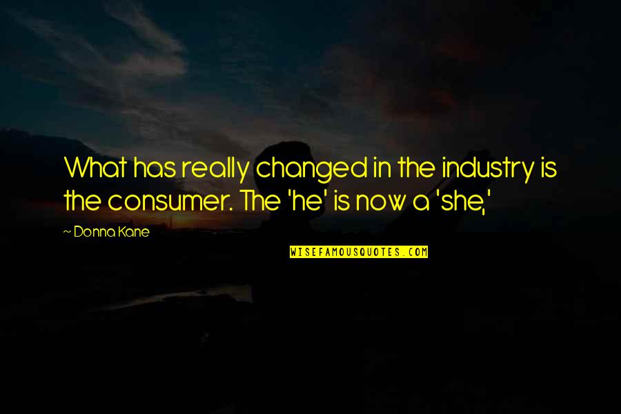 Bellissima Quotes By Donna Kane: What has really changed in the industry is
