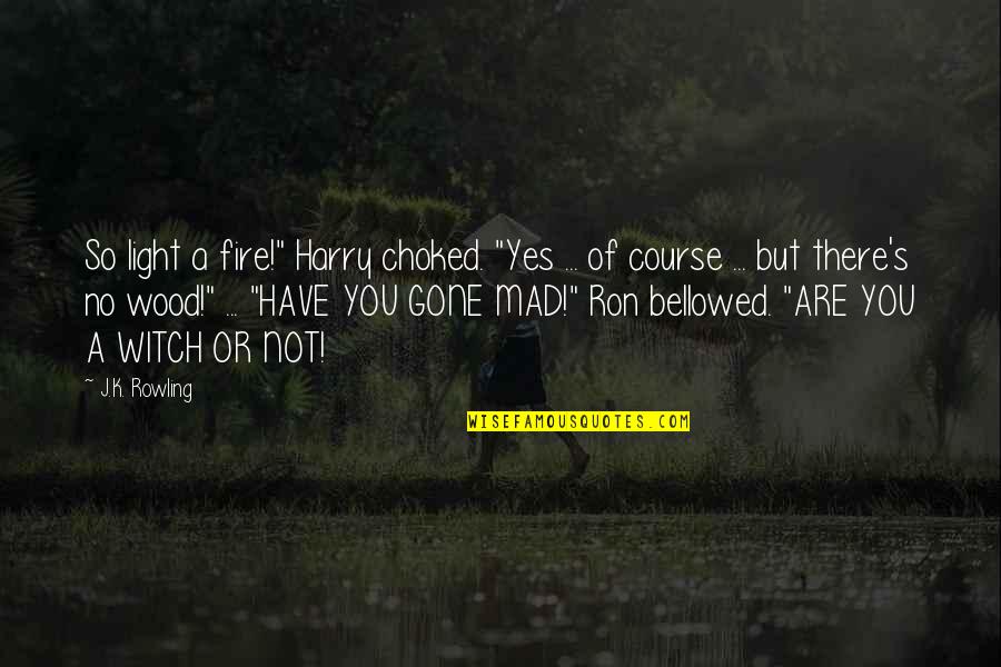 Bellowed Quotes By J.K. Rowling: So light a fire!" Harry choked. "Yes ...