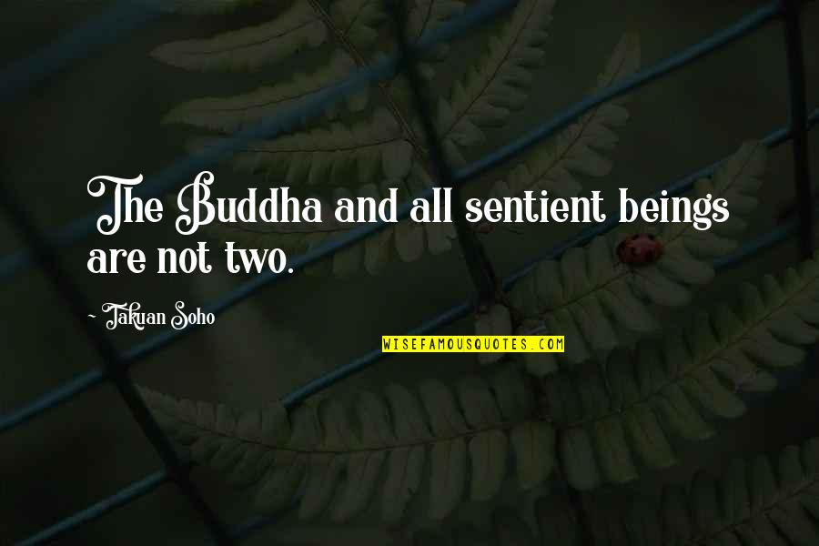 Bellucci Olive Oil Quotes By Takuan Soho: The Buddha and all sentient beings are not