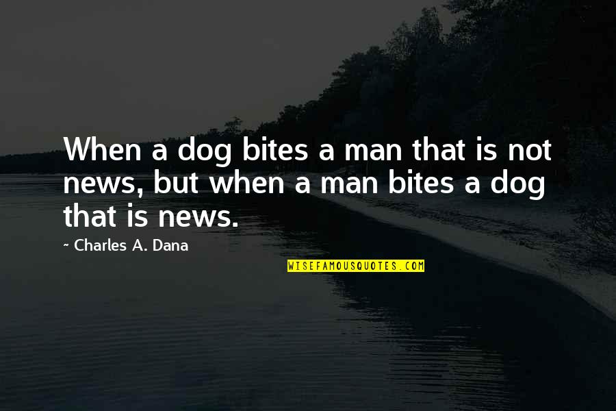 Belly Movie Ox Quotes By Charles A. Dana: When a dog bites a man that is