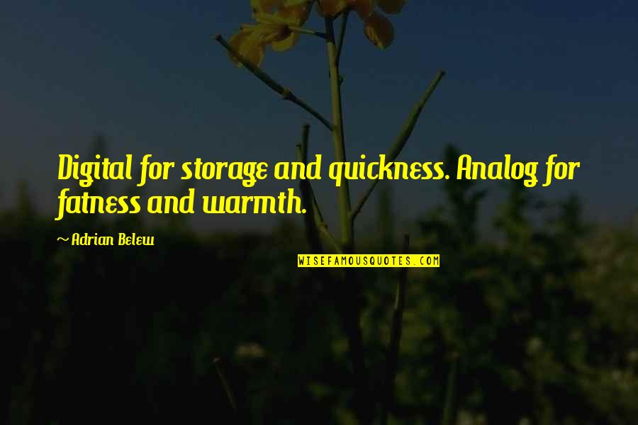 Belly Pain Quotes By Adrian Belew: Digital for storage and quickness. Analog for fatness