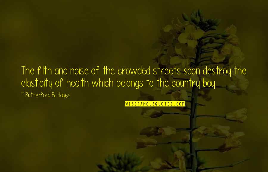Belongs To The Streets Quotes By Rutherford B. Hayes: The filth and noise of the crowded streets