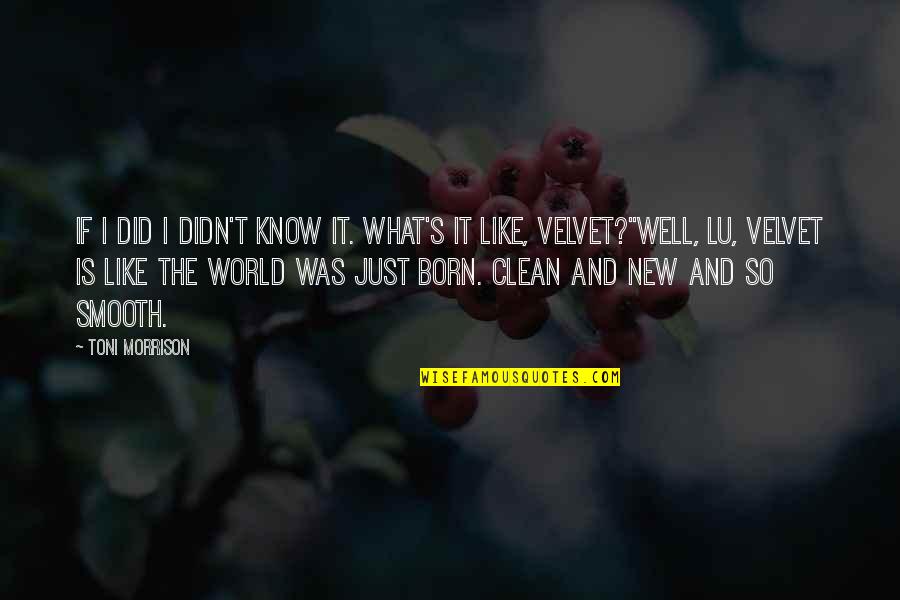 Beloved Morrison Quotes By Toni Morrison: If I did I didn't know it. What's Beloved Morrison Quotes By Toni Morrison: If I did I didn't know it. What's