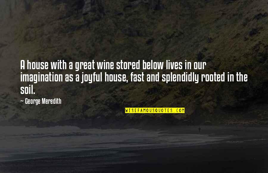 Below The Quotes By George Meredith: A house with a great wine stored below