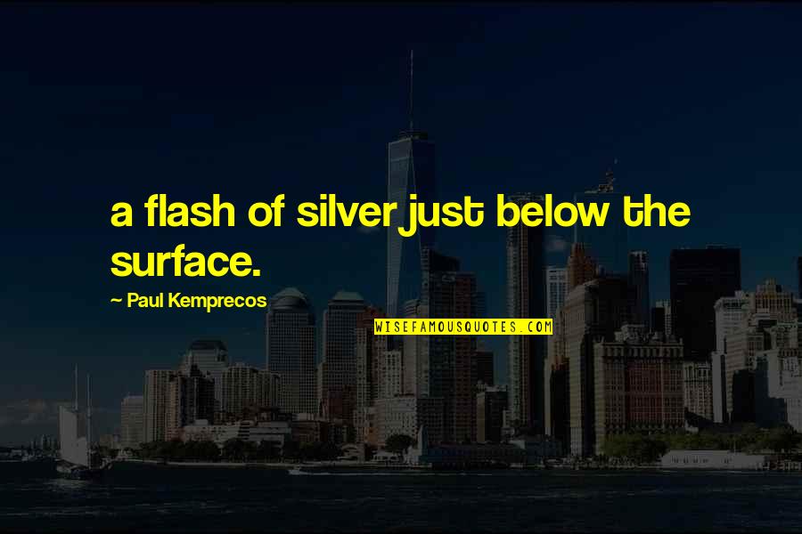 Below The Surface Quotes By Paul Kemprecos: a flash of silver just below the surface.