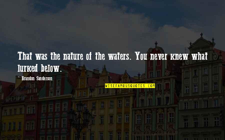 Below You Quotes By Brandon Sanderson: That was the nature of the waters. You Below You Quotes By Brandon Sanderson: That was the nature of the waters. You