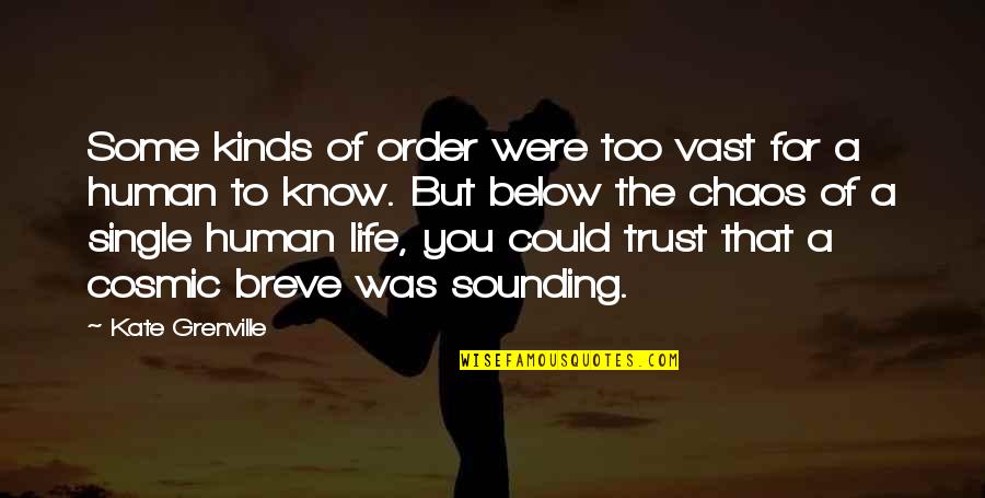 Below You Quotes By Kate Grenville: Some kinds of order were too vast for Below You Quotes By Kate Grenville: Some kinds of order were too vast for