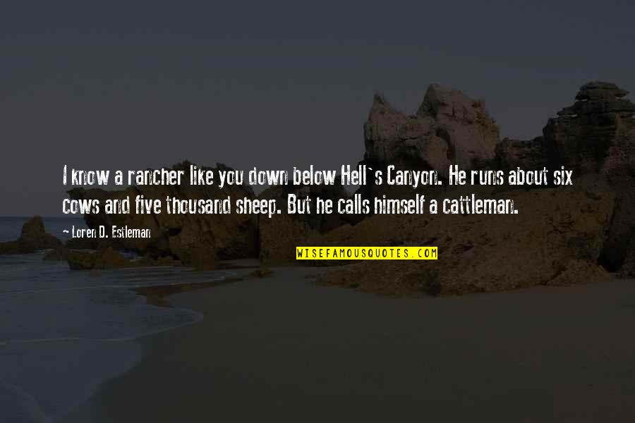 Below You Quotes By Loren D. Estleman: I know a rancher like you down below Below You Quotes By Loren D. Estleman: I know a rancher like you down below