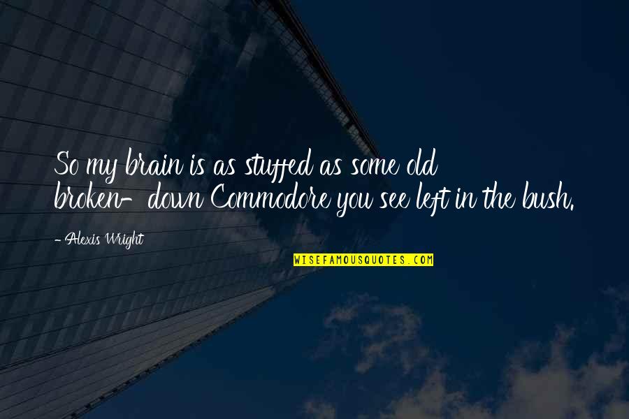 Belowdecks Quotes By Alexis Wright: So my brain is as stuffed as some Belowdecks Quotes By Alexis Wright: So my brain is as stuffed as some