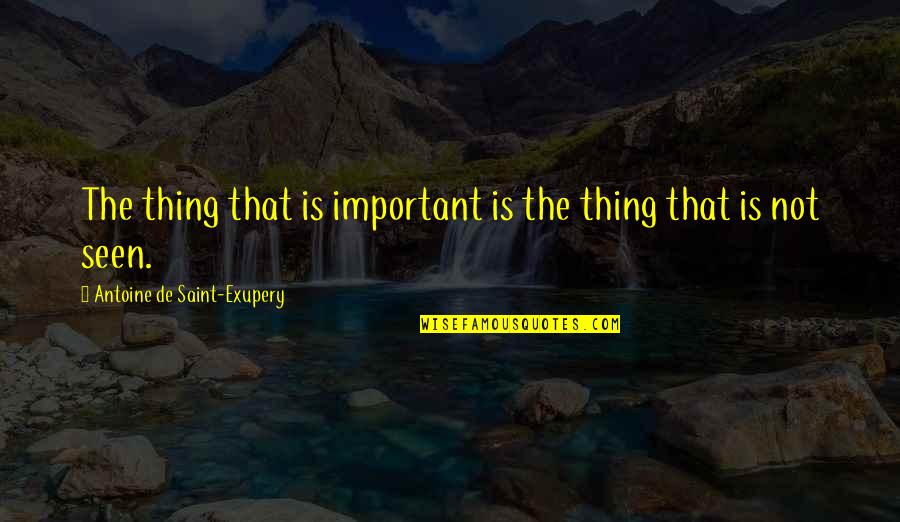 Belsnickel Quotes By Antoine De Saint-Exupery: The thing that is important is the thing