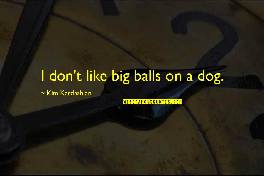 Belsnickel Quotes By Kim Kardashian: I don't like big balls on a dog.