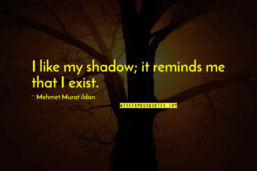 Belted Shirt Quotes By Mehmet Murat Ildan: I like my shadow; it reminds me that