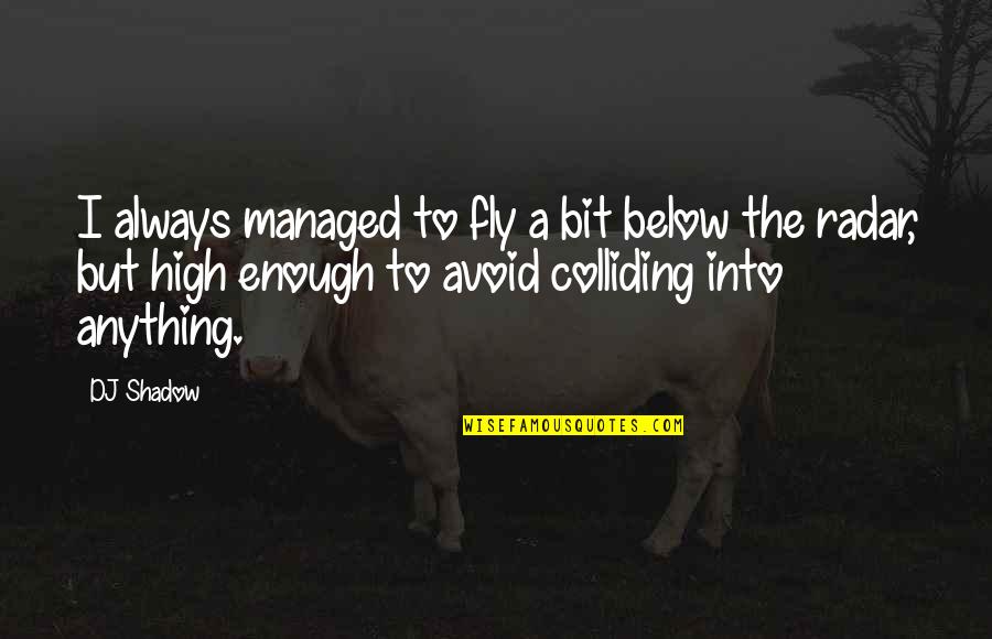 Bem Quote Quotes By DJ Shadow: I always managed to fly a bit below Bem Quote Quotes By DJ Shadow: I always managed to fly a bit below