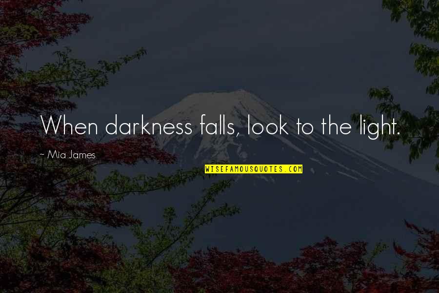 Bemberg Fabric Quotes By Mia James: When darkness falls, look to the light.