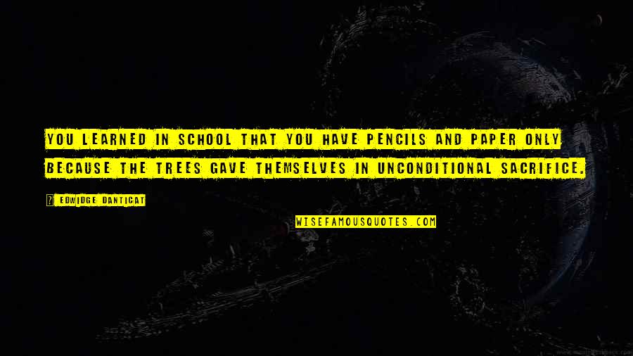 Bemerkung Quotes By Edwidge Danticat: You learned in school that you have pencils Bemerkung Quotes By Edwidge Danticat: You learned in school that you have pencils