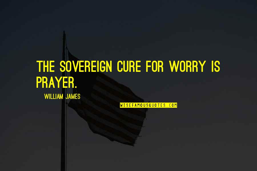 Bemind Wines Quotes By William James: The sovereign cure for worry is prayer. Bemind Wines Quotes By William James: The sovereign cure for worry is prayer.
