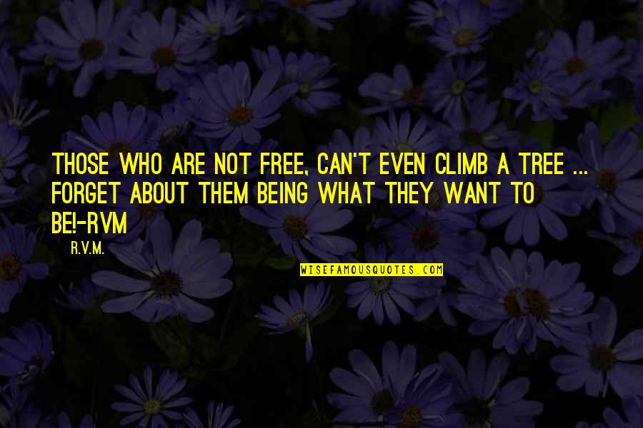 Ben And Holly Quotes By R.v.m.: Those who are not Free, can't even climb