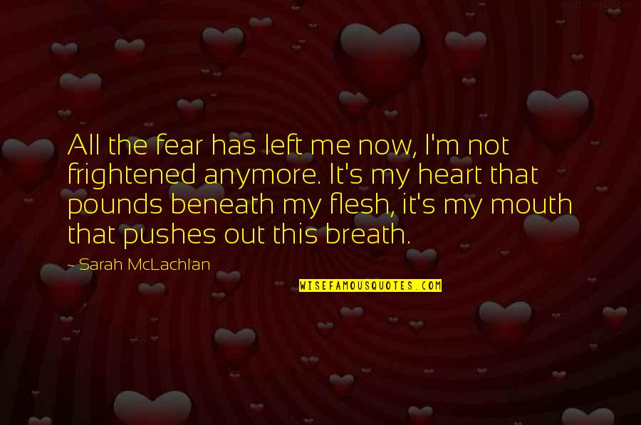 Ben Barka Quotes By Sarah McLachlan: All the fear has left me now, I'm
