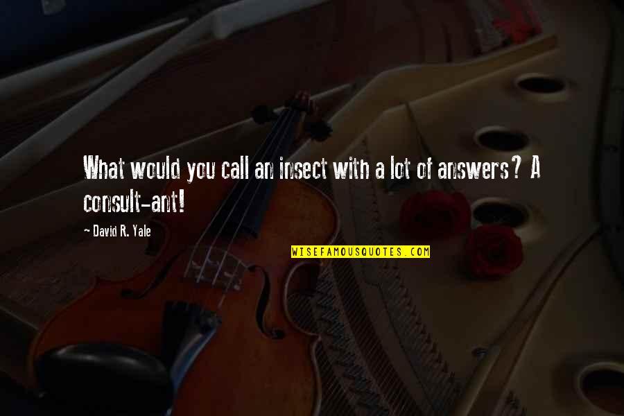 Ben Burnley Breaking Benjamin Quotes By David R. Yale: What would you call an insect with a
