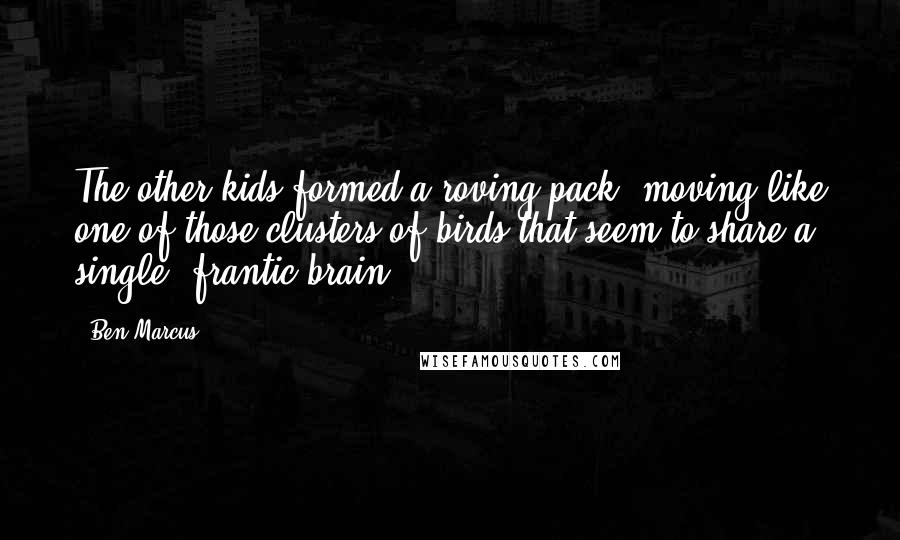 Ben Marcus quotes: The other kids formed a roving pack, moving like one of those clusters of birds that seem to share a single, frantic brain.