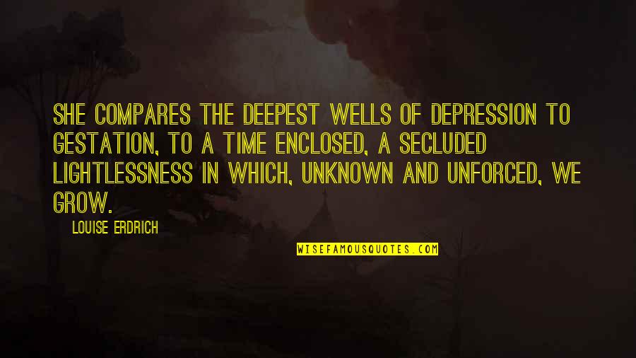 Ben Mclemore Quotes By Louise Erdrich: She compares the deepest wells of depression to