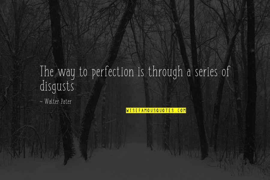 Ben Ten Game Quotes By Walter Pater: The way to perfection is through a series
