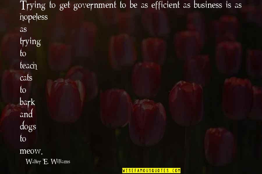 Ben Wyatt Ice Town Quotes By Walter E. Williams: Trying to get government to be as efficient