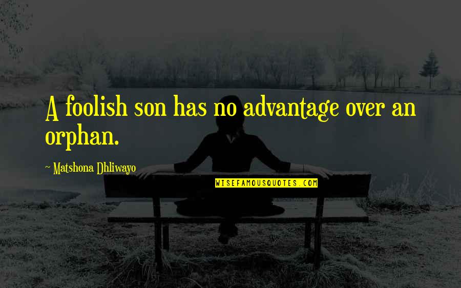 Bench Press Quotes By Matshona Dhliwayo: A foolish son has no advantage over an