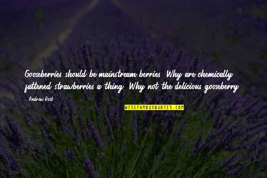 Benchwarmers Quotes By Andrew Dost: Gooseberries should be mainstream berries! Why are chemically