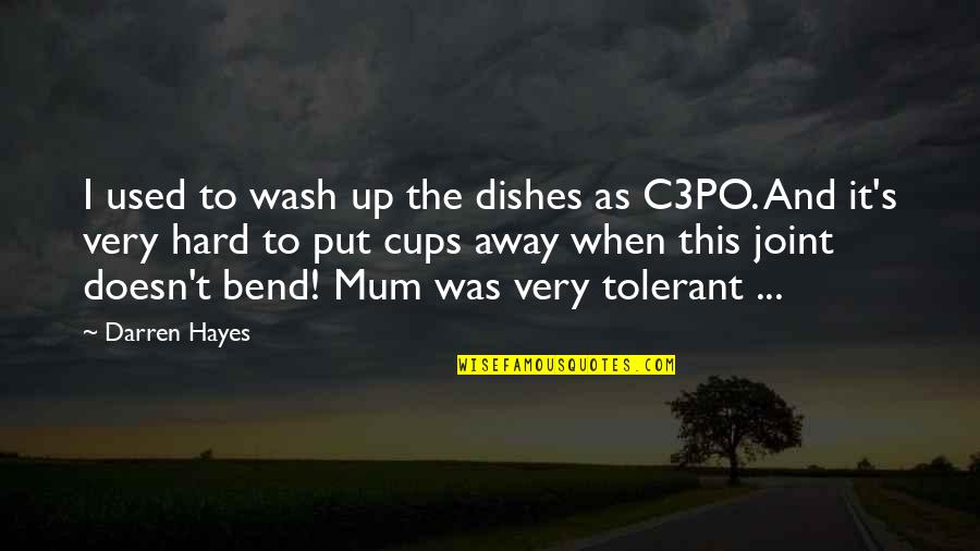 Bend It Quotes By Darren Hayes: I used to wash up the dishes as