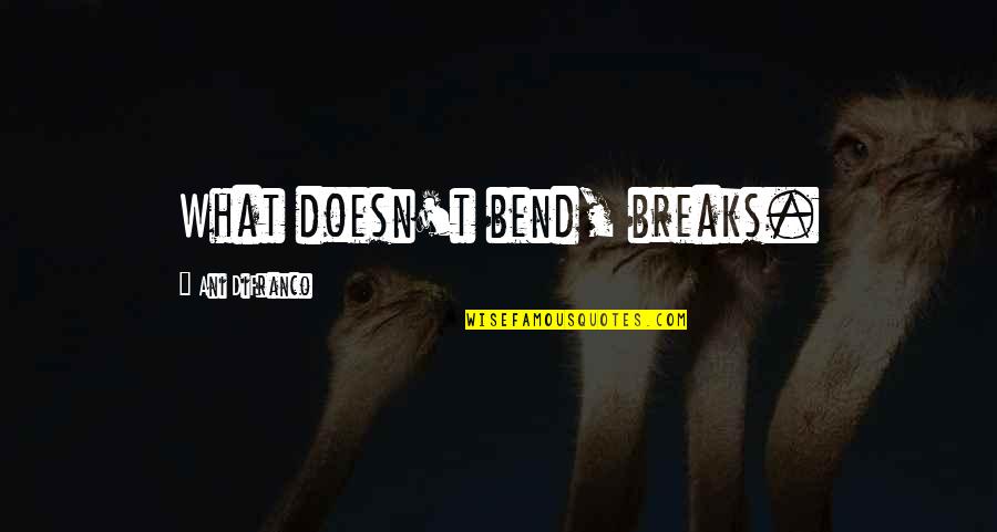 Bend Or Break Quotes By Ani DiFranco: What doesn't bend, breaks.