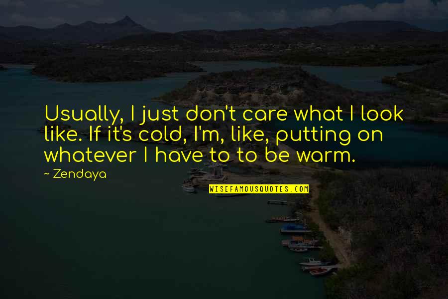Bendern Prussia Quotes By Zendaya: Usually, I just don't care what I look Bendern Prussia Quotes By Zendaya: Usually, I just don't care what I look