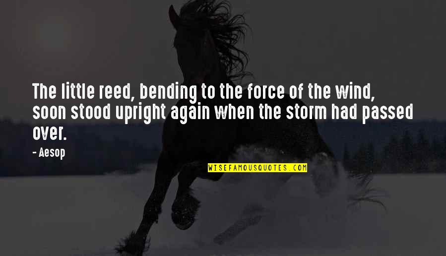 Bending Over Quotes By Aesop: The little reed, bending to the force of