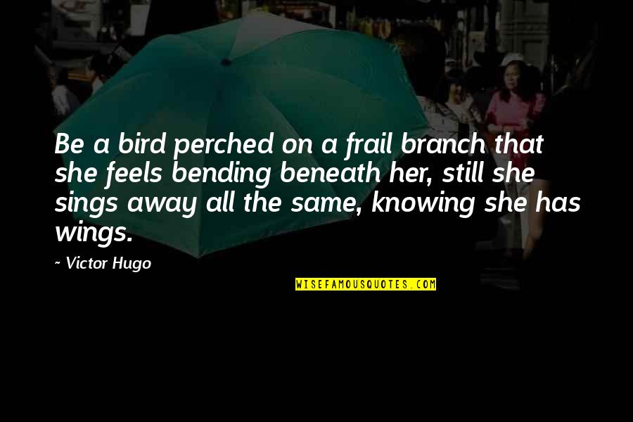 Bending Over Quotes By Victor Hugo: Be a bird perched on a frail branch