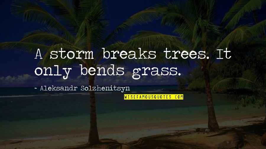Bends Quotes By Aleksandr Solzhenitsyn: A storm breaks trees. It only bends grass.