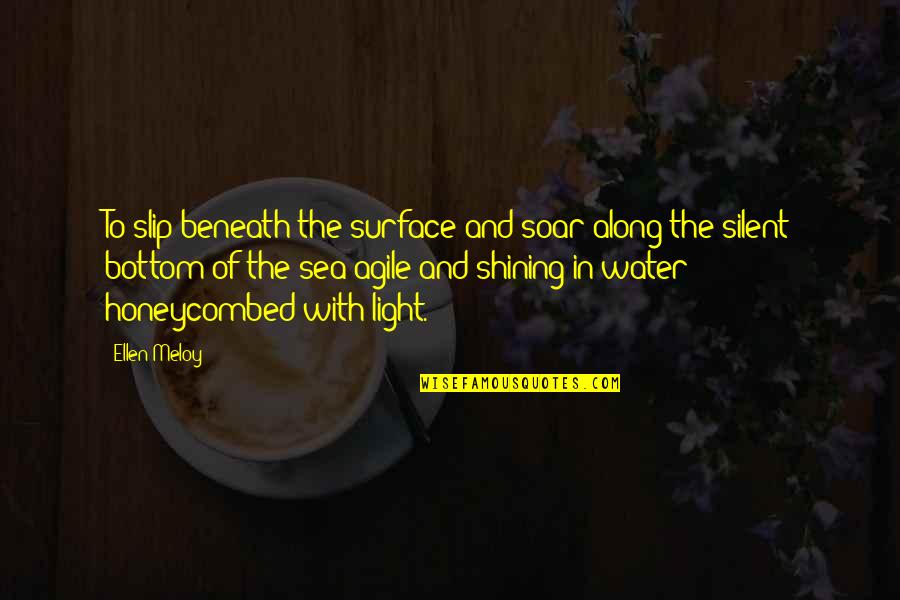 Beneath The Surface Quotes By Ellen Meloy: To slip beneath the surface and soar along